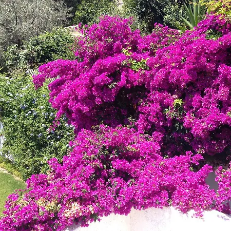 펜션 Beautiful Pelion Sea House *