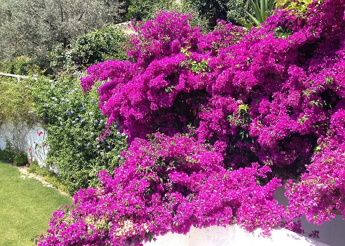 Vakantiehuis Beautiful Pelion Sea House *